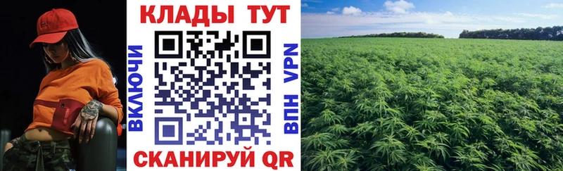 Виды наркотиков купить Можга Гашиш Амфетамин МЕФ Галлюциногенные грибы Канабис