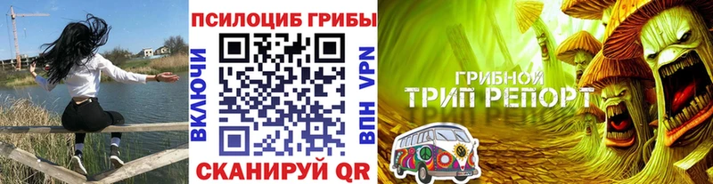 Псилоцибиновые грибы Magic Shrooms  это наркотические препараты  Можга 